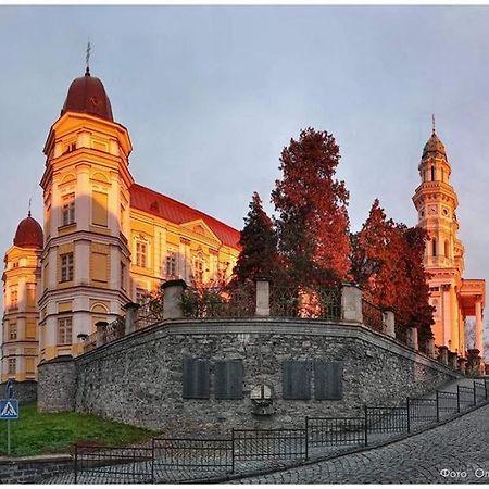 Старовинні Апартаменти У Центрі Міста Uzjhorod Eksteriør billede