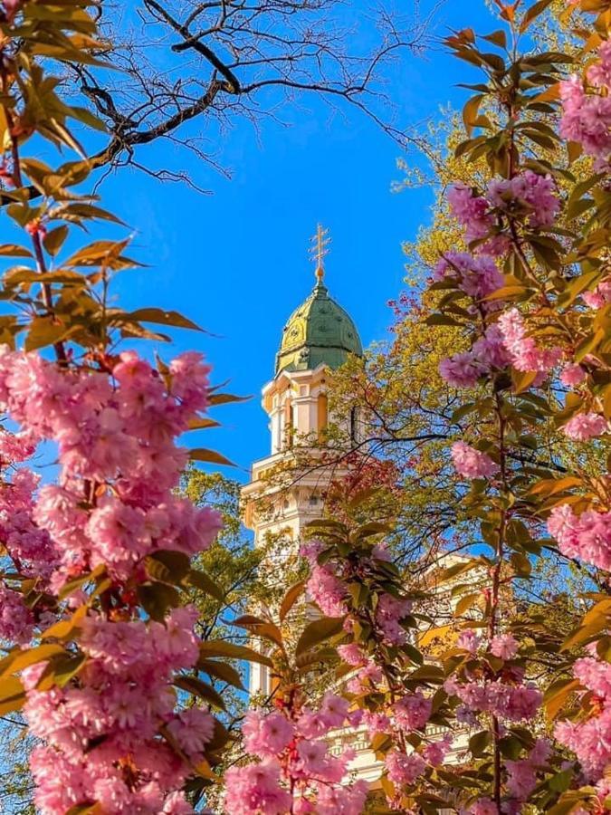 Старовинні Апартаменти У Центрі Міста Uzjhorod Eksteriør billede